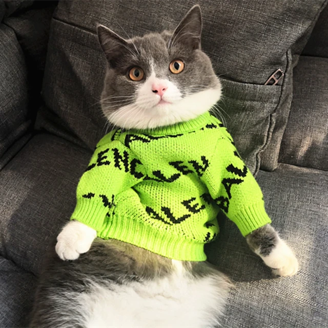 Luxury Cat Clothes  Designer Cat Clothes, Trendy Cat Clothes