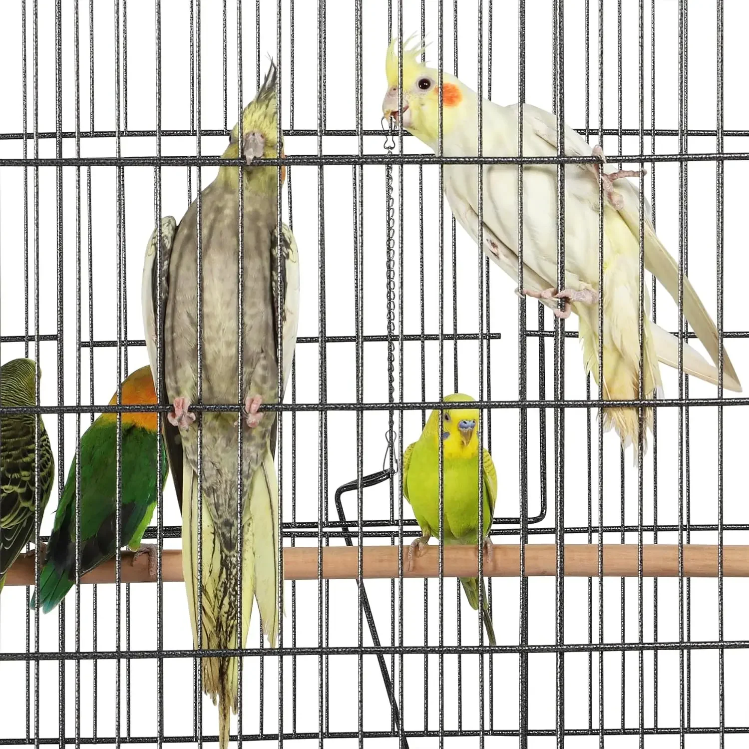 Topeakmart X-Large Parrot Cage Bird Cage with Rolling Stand Medium Birds Cockatiels Quaker Green Cheek Sun Conure African Grey 4
