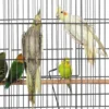 Topeakmart X-Large Parrot Cage Bird Cage with Rolling Stand Medium Birds Cockatiels Quaker Green Cheek Sun Conure African Grey 4