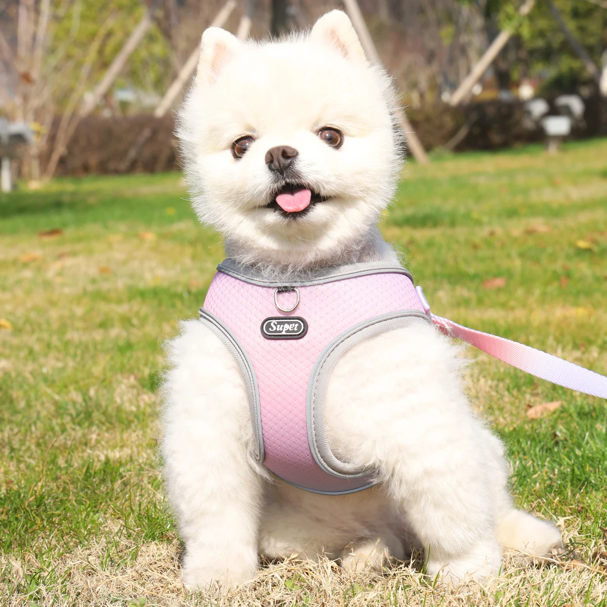 Supet Pet Step-In Hunde geschirr, verstellbares reflektieren des weiches Hunde geschirr, atmungsaktives Hunde westen geschirr für Katzen welpen – Detail 8