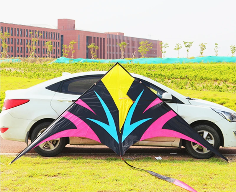 Outdoor sport delta kite for adults