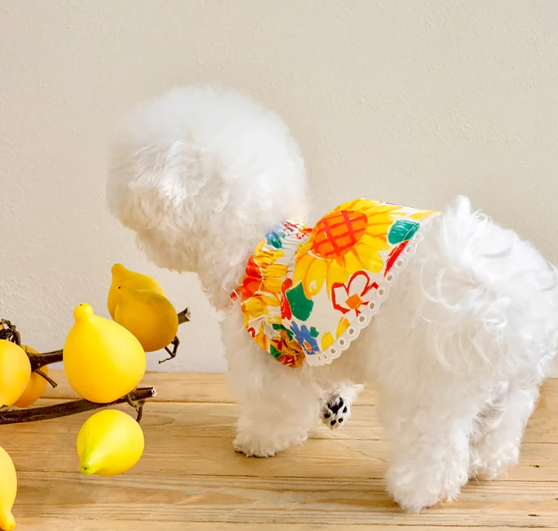 Luxury Dog Dress Bowknot Lace Summer Puppy Clothes Dog Skirts Cotton T Shirt Girls Costume Chihuahua