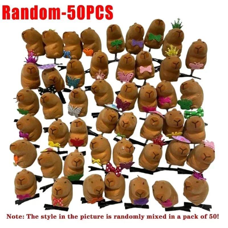 Random-50PCS