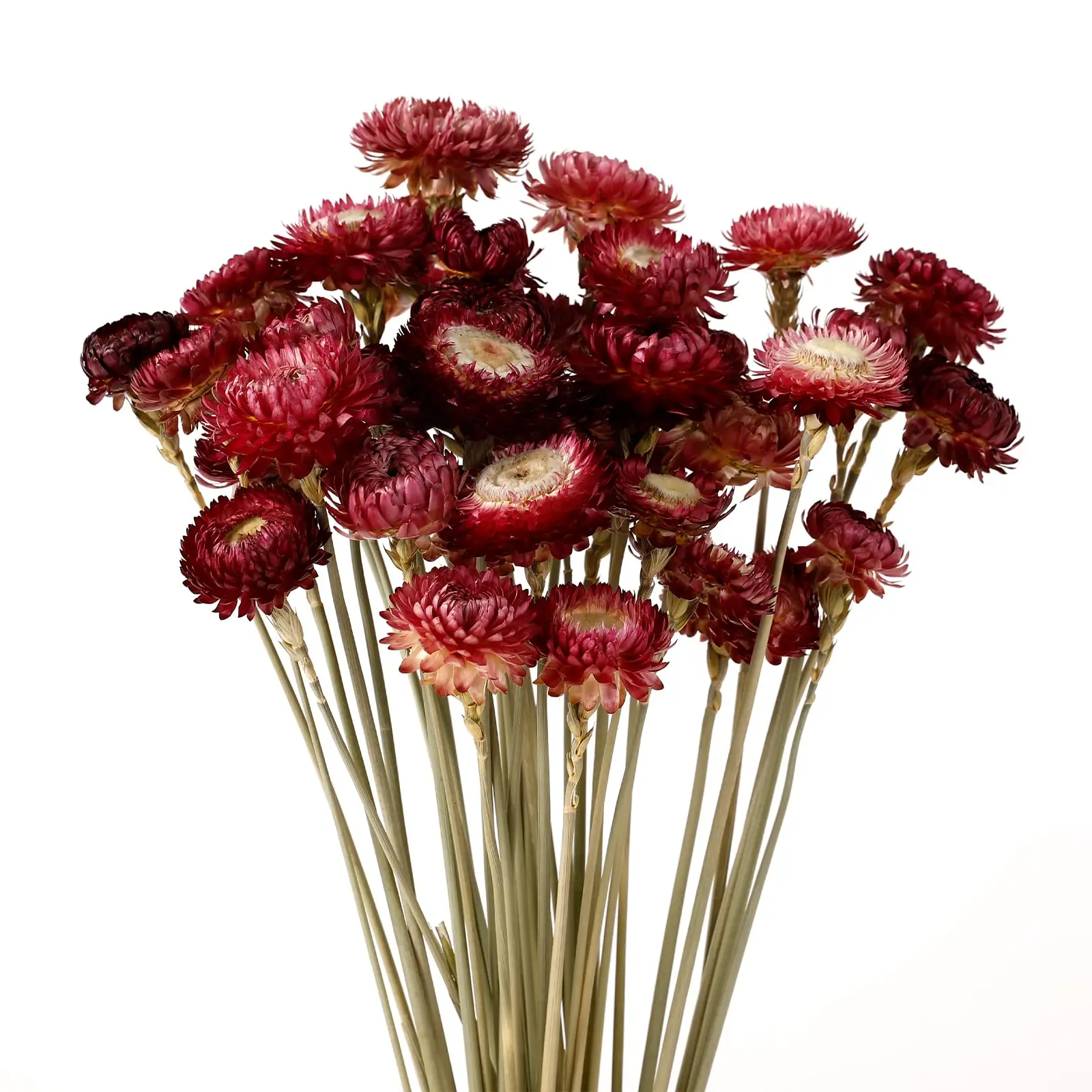 

Dried Flower 40PCS Daisy Bouquet 100%Natural Chrysanthemum Dry Flower for Vase Home Decor Party DIY Arrangement Wheat Straw Bulk
