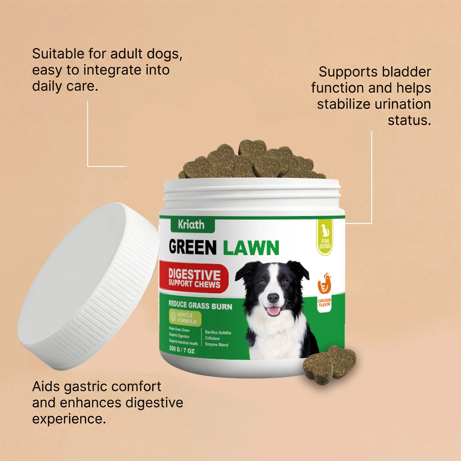 Natural Dog Digestive Support Probiotic Chews Chicken Flavored Supplement for Constipation Relief Puppy Stomach Care 200g