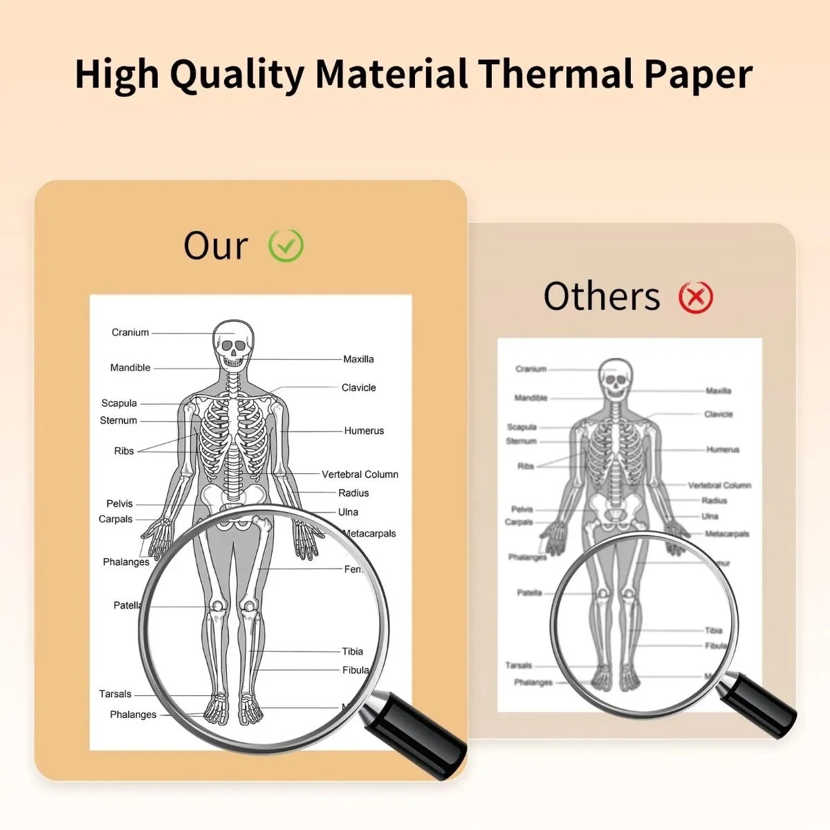 A4 Thermal Paper High Sensitivity Quick-Dry, for Office Barcode/Ship Labels/Retail Receipts A40/X8/M08F/S8 Printer Rolls