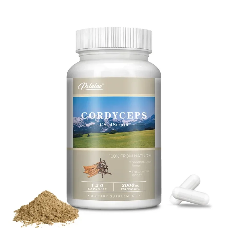 Cordyceps Energy Respiratory Immune Kidney Health Support