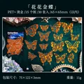D-Golden Butterfly