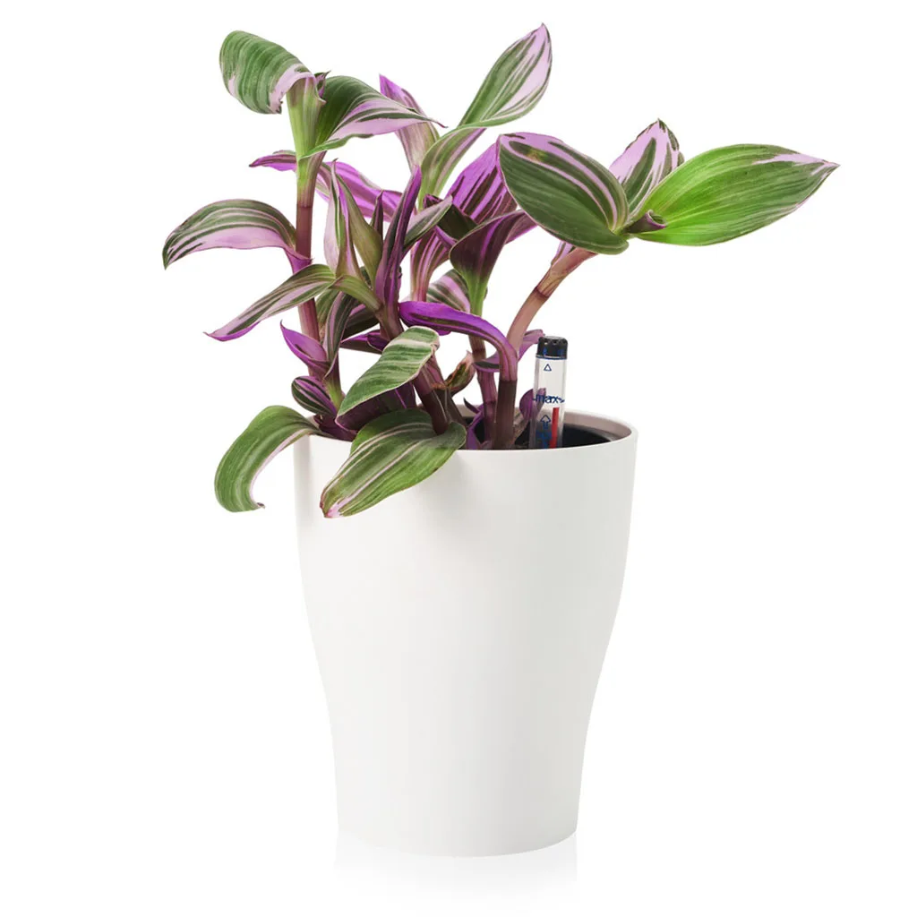 Self Watering Plant Pot with Water Level Indicator Automatic Water Absorption Flower Pot for Home Garden Bonsai Plants Tools