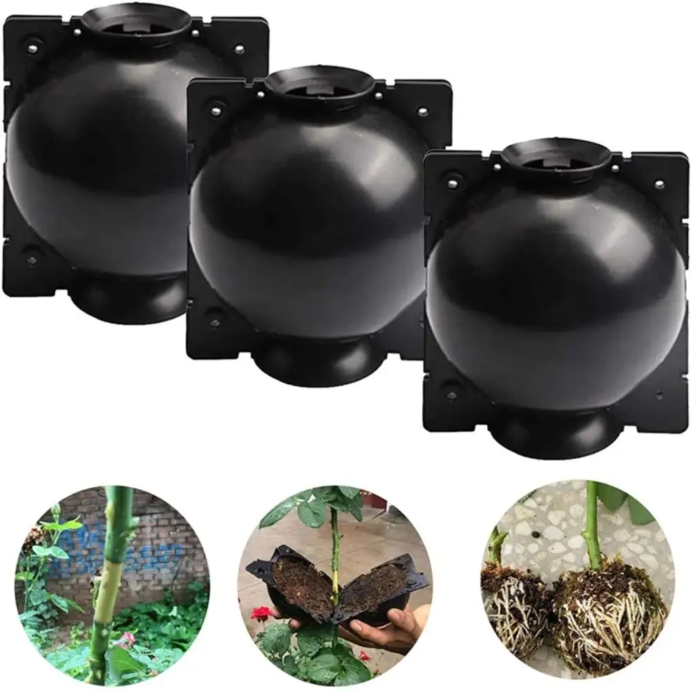 Plastic Plant Rooting Box for Tree Grafting and Seedling Cultivation
