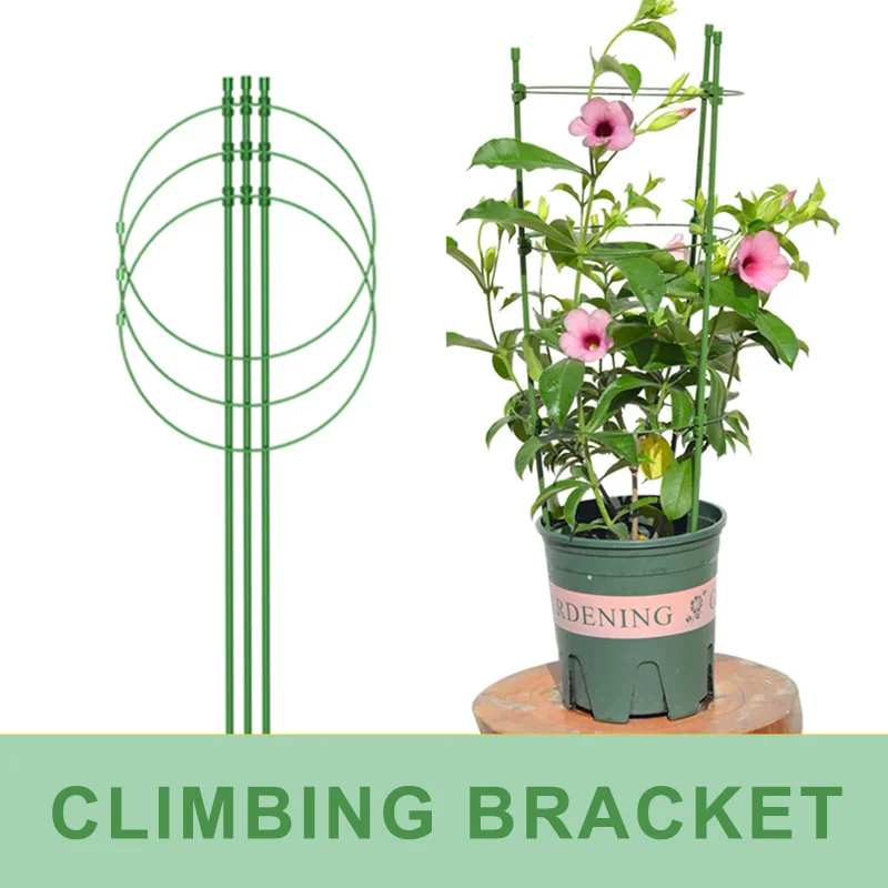 Climbing Plant Trellis Pot Plants Support Frame Trellis Climbing DIY Flower Vines Stand Garden Tomato Support Cages Flowers 2