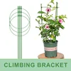 Climbing Plant Trellis Pot Plants Support Frame Trellis Climbing DIY Flower Vines Stand Garden Tomato Support Cages Flowers 2