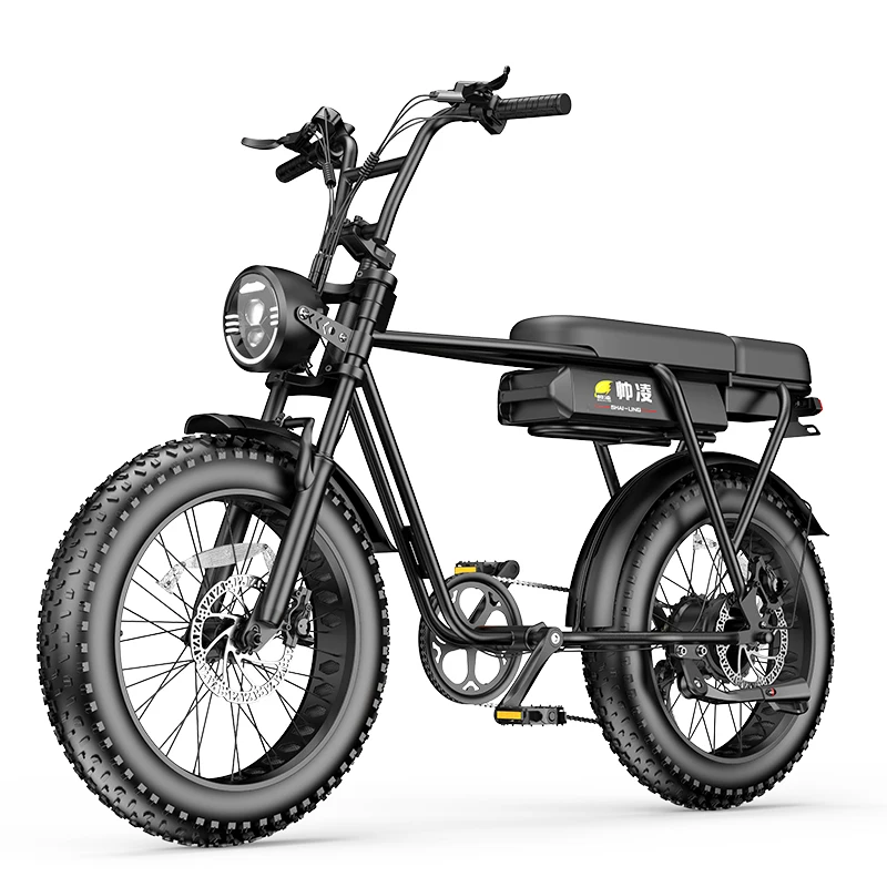 20 Inch Electric Bicycle 30AH 500W 48V Adult Mountain Ebike Men's Road Hydraulic Oil Brake Dual Shock Absorber with Battery