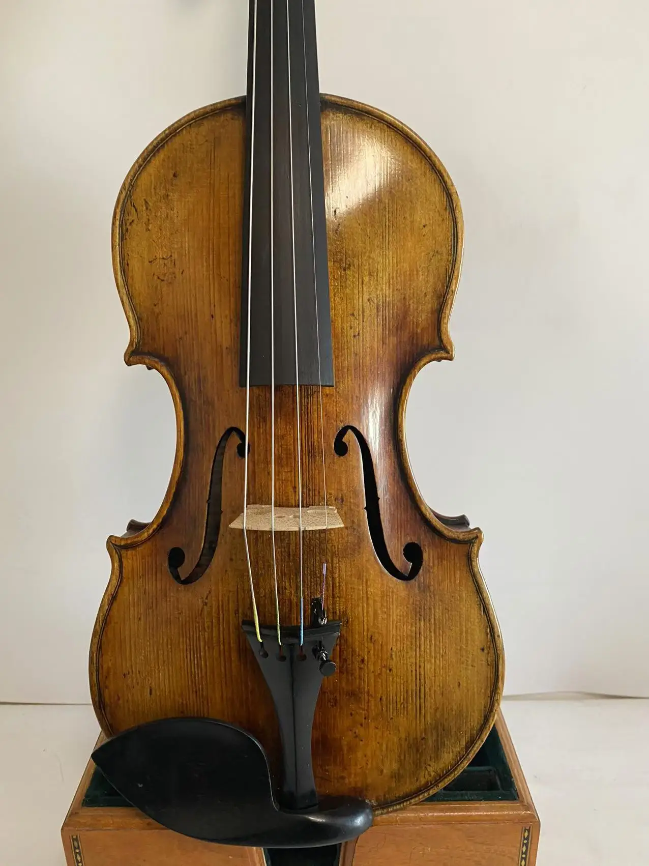 Master 4/4 violin Guarneri model 1742 European one piece back