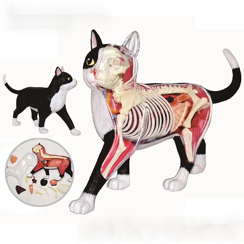 Рисунок 4 - Креативные Обучающие сборные игрушки 4 D