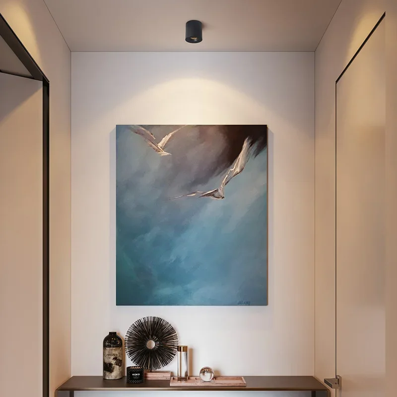 LED Downlight Recessed Ceiling Spotlight Ceiling Lamps Surface Mounted COB Chip Anti-glare for Living Room Corridor Foyer