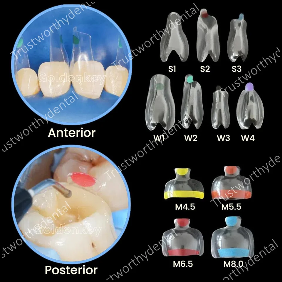 Matriz Dental Para Restauración Dental - Artica™G8 - Markson Dental