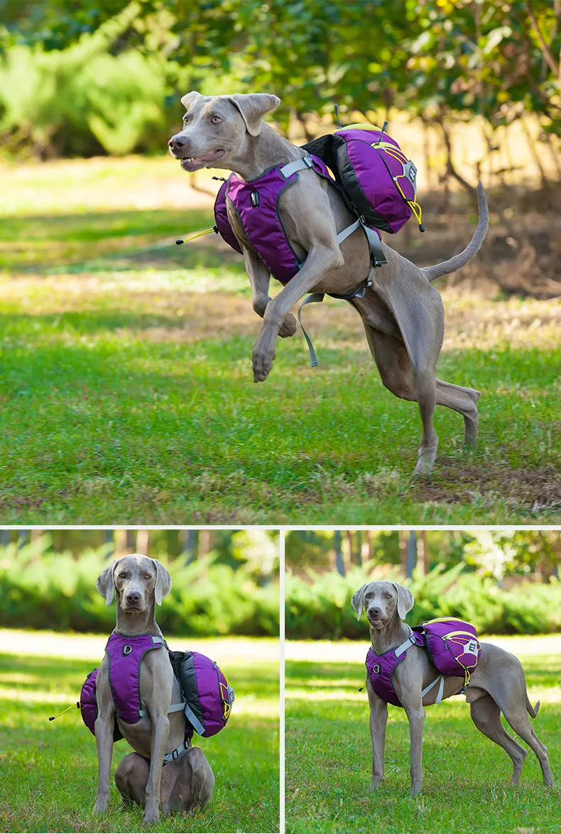 Scdece85d408e4ab0861be8f3d3363ebbv