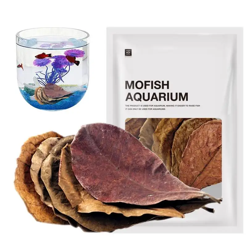 Aquarium Leaves 20Pcs Aquarium Catappa Leaves Indians Almond Leaves For Reduce PHs Softened Purified Water Quality For Fish Tank Pond & Aquarium