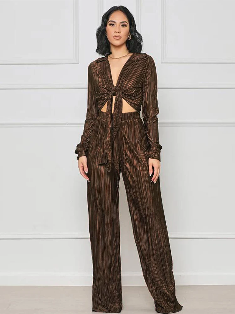 

Vintage Pleated 2 Piece Lounge Sets Women's Outfits Turn Down Collar Long Sleeve Crop Tops and Elastic Waist Wide Leg Trousers