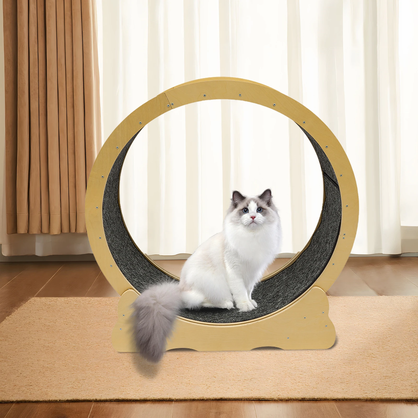 Cat Exercise Wheel, Running Wheel for Indoor Cats, Cat Hamster Wheels,Cat Gifts for Lovers,Health, Loss Weight
