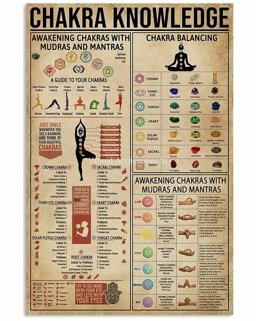 

Chakra Knowledge Poster Multi Wall Décor Art Gift for Yogaer Chart Metal Tin Sign School Signs 8x12 Inch