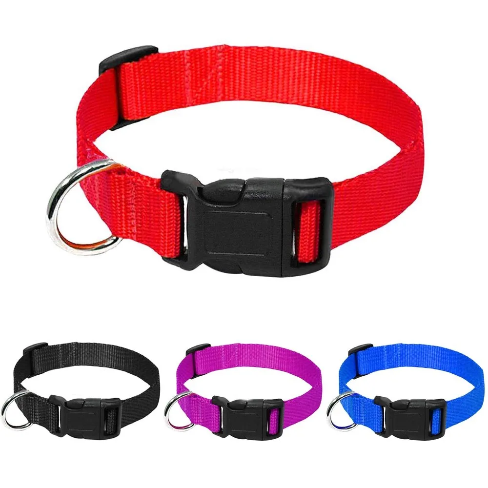 Pet collar is suitable for small and medium sized Chihuahua dog nylon webbing dog collar heavy