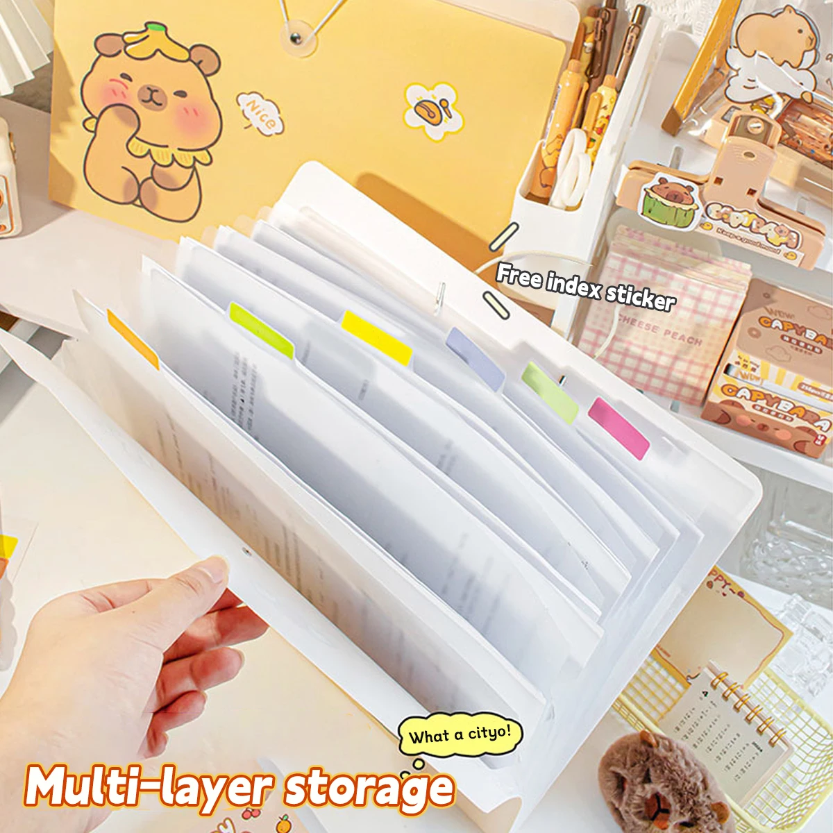 File Folder A4 Data Classification Accordion Bag