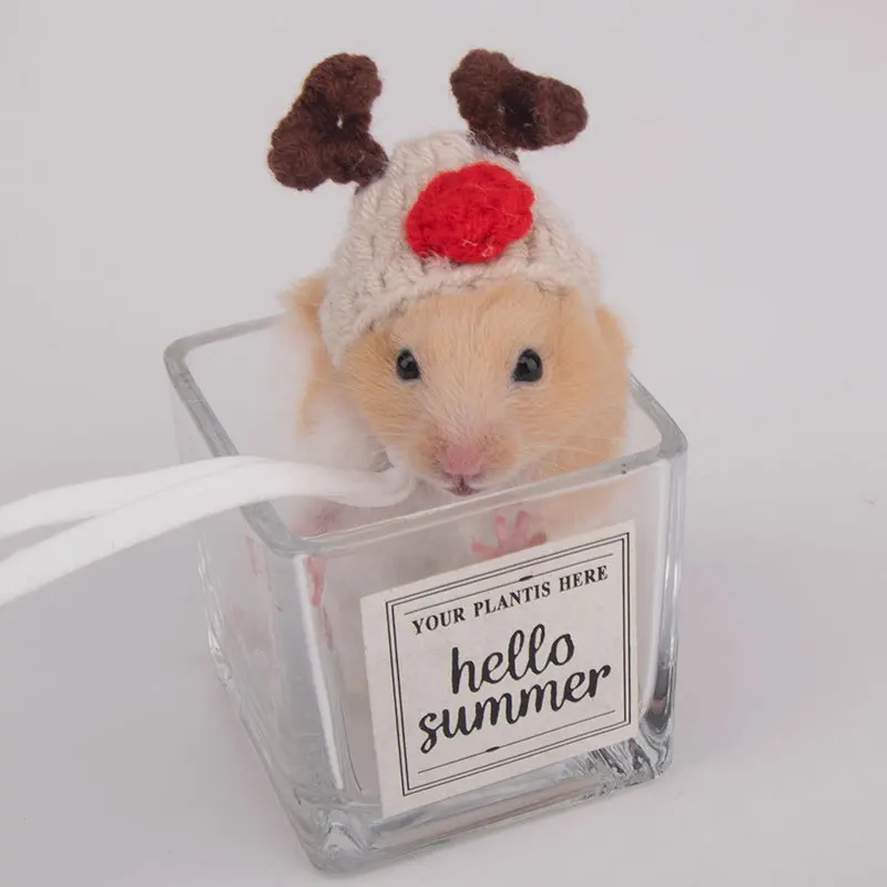 Small Animal Clothes Pet Headgear Handmade Knitted Hat Hamster Cute Headwear