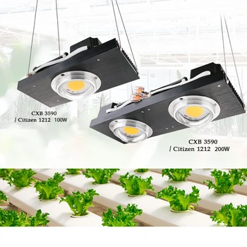 CXB3590 COB LED Grow Light Full Spectrum 100W 200W Citizen LED Plant Grow Lamp for Indoor Tent Greenhouses Hydroponic Plant
