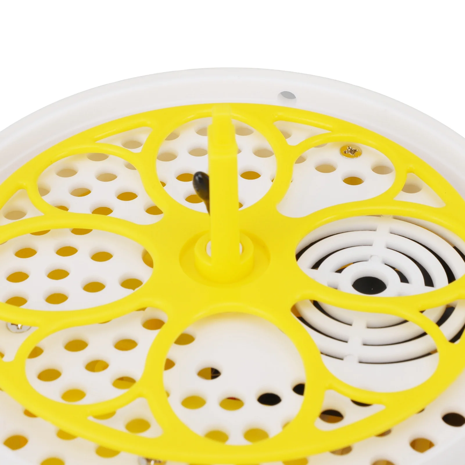 Poultry Hatching Machine ABS Automatic Temperature Humidity Control 4 Eggs Noiseless Egg Incubator Portable for School