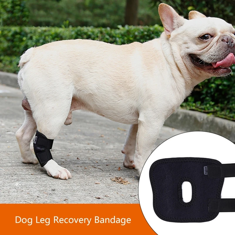 Dog Elbow Pad Dog Leg Hock Joint Protection Antilick Wounds Wrap Dog Leg Hock Joint Protection