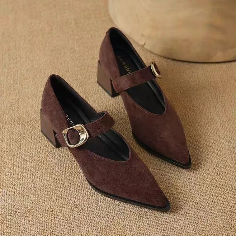 Aphixta Mid Heel Pumps Metal Duckle Spring Autumn Shoes Elegant Women Mary Janes Shoes Cow Suede Square Heel Shallow Woman Shoes