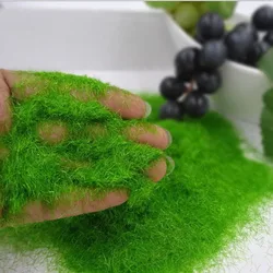 Garden Craft Artificial Moss Micro Landscape Decoration DIY Accessories Grass Powder (-5)