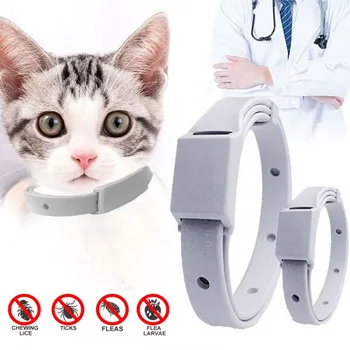 고양이 작은 개용 벼룩 진드기 방지 칼라, 8 개월 보호, 조절 가능한 강아지 새끼 고양이 칼라, 분리형 애완 동물 액세서리