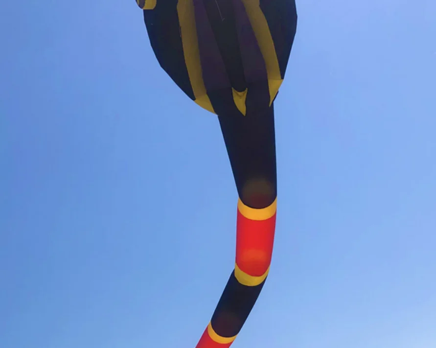 60m cobra kite Adults Outdoor Toys Wind sock windsock inflatable