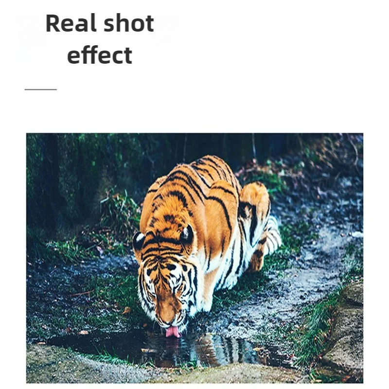 Sce043f558a6243ebafca13cc2f0d413ed -