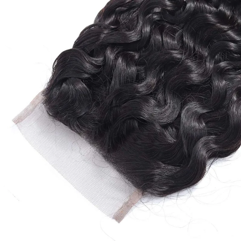 Water Wave Human Hair 4x4 Lace Closure Pre-Plucked Hairline Brazilian Virgin Hair Transparent Lace Closure Soft and Silky