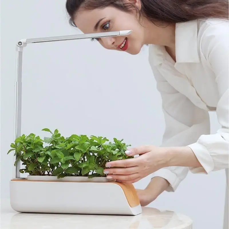 รูปสินค้า LED Grow Light ระบบไฮโดรโปนิกส์ ปรับความสูงได้