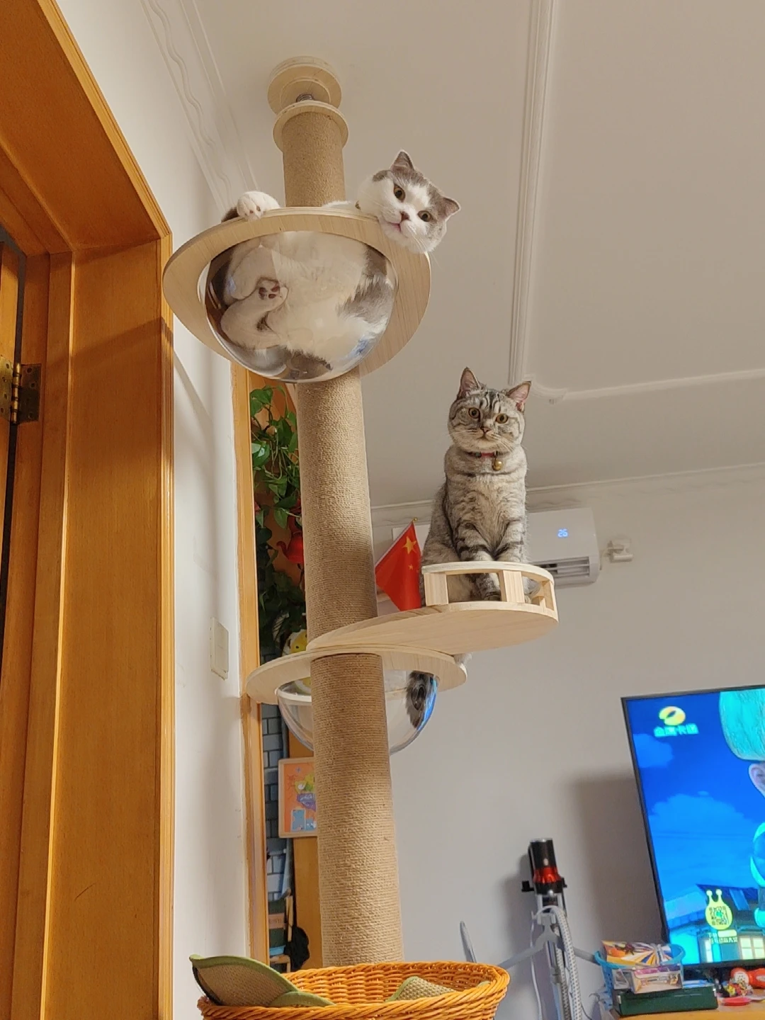 Sce06f9d738454d9581c732c329ce93f5i