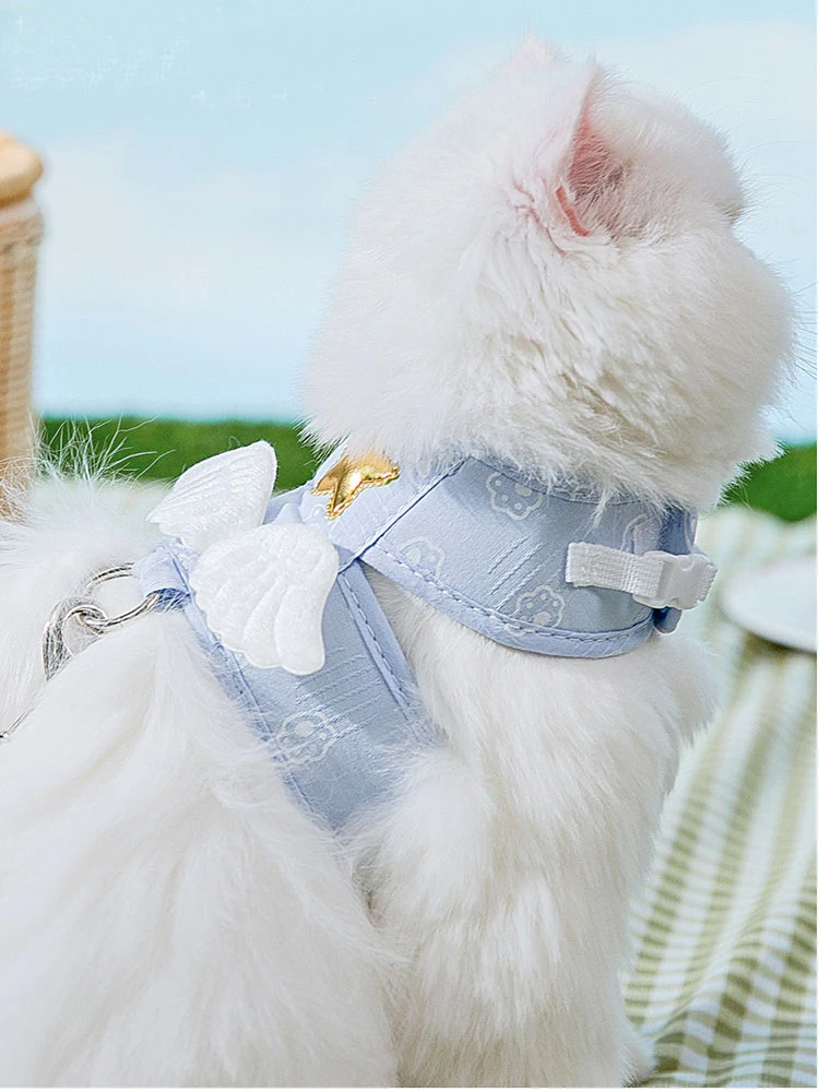 Lovely Angel Wing Dog Harness And Leash Set For Small Medium Dog Puppy