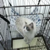 All-Season Cat Hammock for Cages, Durable Canvas & Linen, S/M/L Sizes, Easy Installation & Cleaning 2