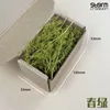 Simulation Dry Grass Model Diy Scene Materials For Making Military Sand Table/Train Railway Layout Diorama Kits 1Box 4