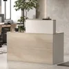 Reception Desk with Counter & Lockable Srotage Drawers, for Salon Reception Room Checkout Office, Natrual Reception Desk 1