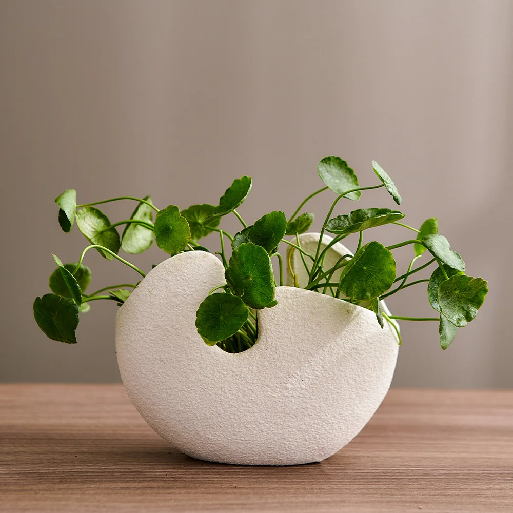 

Abstract Ceramic Vase Modern Home Decoration Vase Table Decor Vase Decoration Luxury Living Room Decoration Plant Flowerpot