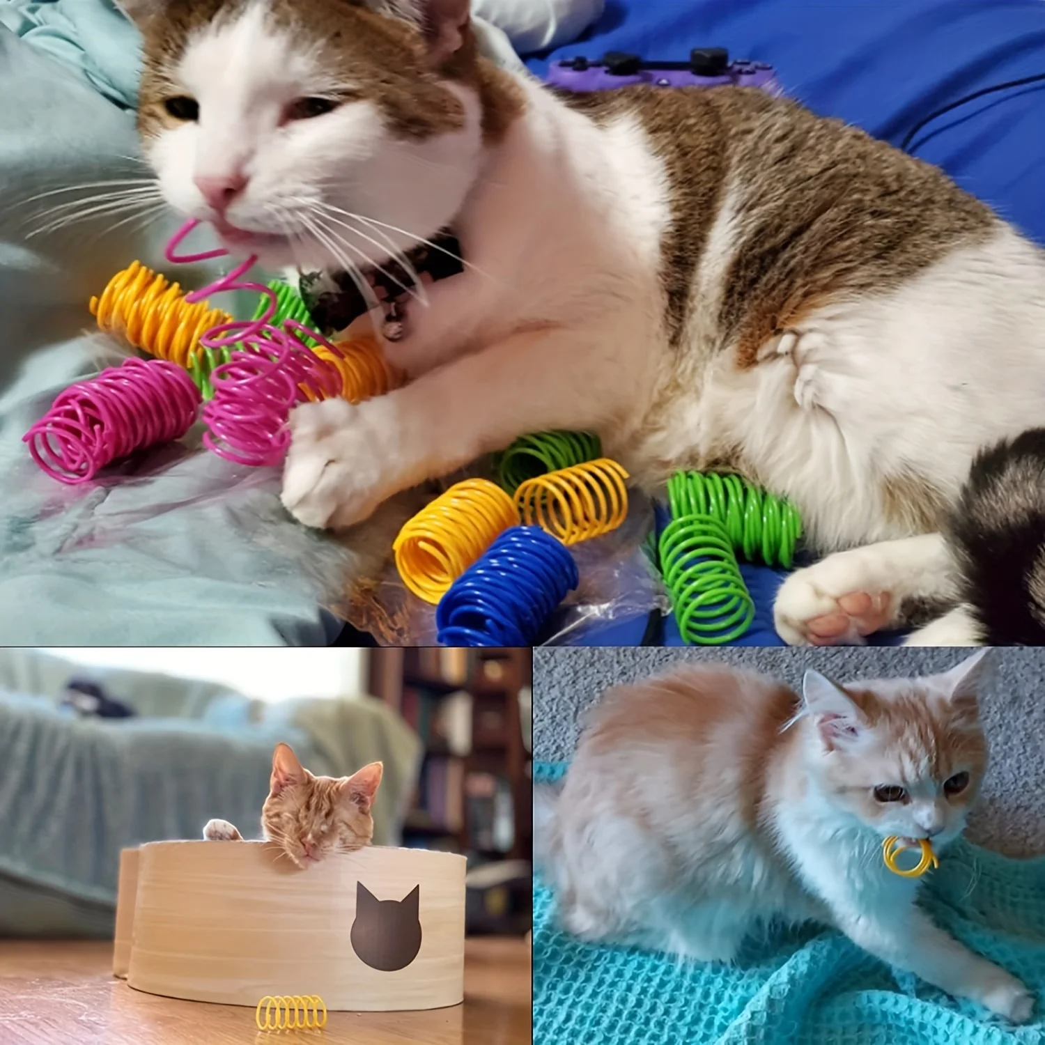Wide Colorful Springs Cat Toys, Plastic Coil Spiral Springs For Cat, Kitten, Pets (Assorted Varieties)