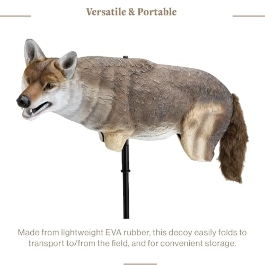 description