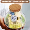 Round Glass Terrarium Creative Desktop Micro Landscape Bottle Plant Vase Home Decor Ecological Moss Crafts Empty Jar Mini Garden 3