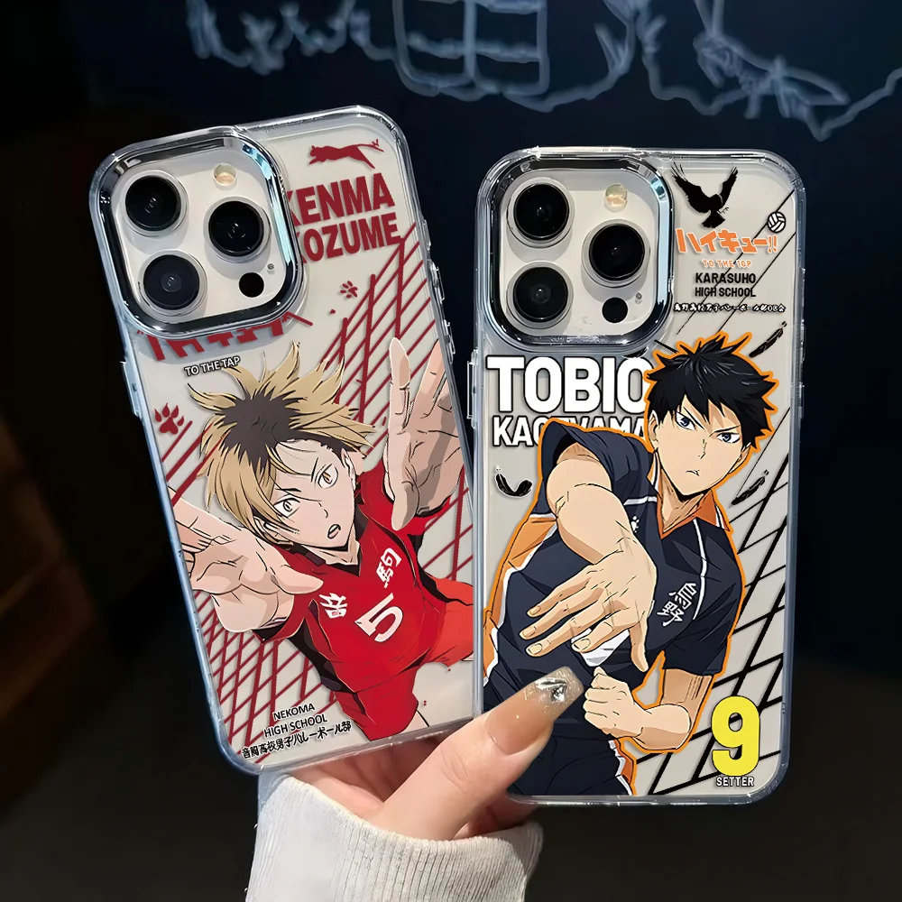 Hot Anime Haikyuu Hinata Shoyo Soft Phone Case Cover