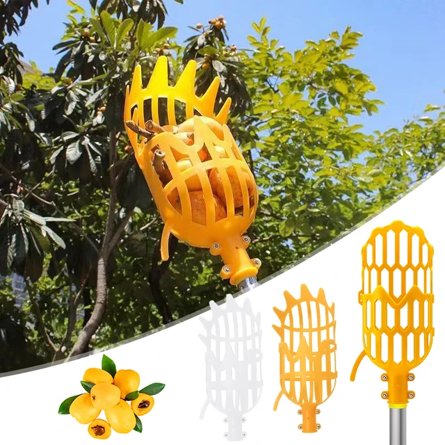 Gyümölcsválasztó Gyümölcskapó Orchard Kertészkedés Farm Fagák Gyümölcs Kollekció Mély Kosár Alma Szedés Fejkészlet Kerti Szerszámok